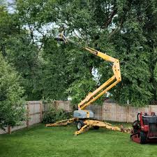 Best Lawn Drainage Solutions  in Cross Roads, TX