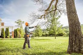 Best Hazardous Tree Removal  in Cross Roads, TX